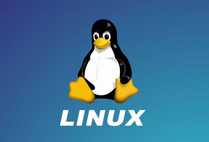Best Production-Grade Linux Distros (2024–2025)